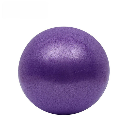 Sino-European Yoga Ball Small Ball Pilates Training Pelvic Floor Muscle Fitness Core Yujia Equipment Sports Elastic Ball Home Purple 2 Pieces Diameter 25cm More Yoga Ball Sizes