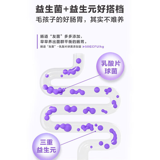 Weishi Trial A2 Affinity Goat Milk Powder for Cats 10g