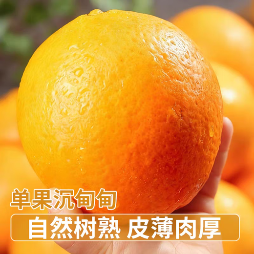 趣鲜语正宗江西赣南脐橙新鲜甜橙【当天发货】时令当季孕妇水果手剥鲜橙 10斤【当季新鲜现摘单果160-180克】净重9斤