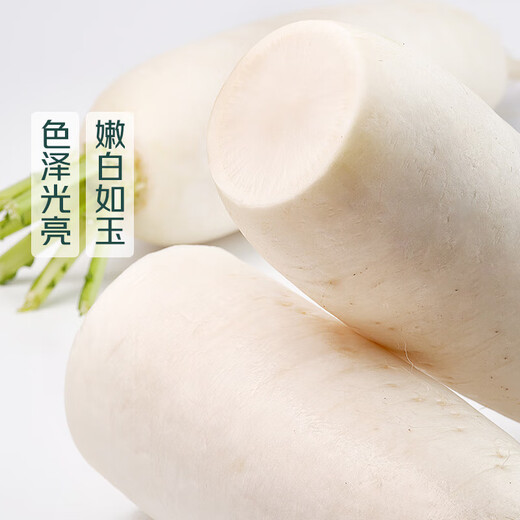 Frosted vegetables Gaoping snowy white radish about 700g