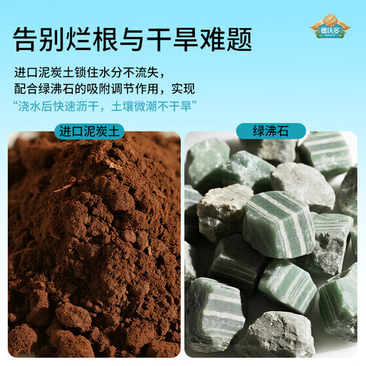 Dewo succulent nutrient soil 2.5KG plant planting matrix succulent granular nutrient soil (50% granules + 50% soil)