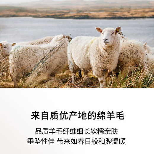 Baoye Autumn and Winter Milk Series Pure Wool Pullover Sweater Women's Retro Embroidered Sweater Loose Lazy Style Round Neck Bottoming Shirt Ivory White One Size