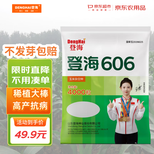 Семена кукурузы Denghai 606, 4000 зерен, редкие посадки, большие палочки, высокая урожайность, устойчивость к болезням и полеганию.