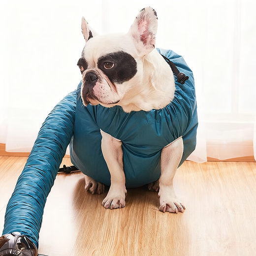 Tapaying Drying Bag Pet Dog Golden Retriever Bathing Medium and Large Dog Household Fully Automatic Hair Blow Drying Box Artifact Universal M Suitable for Weight 12-35 Jin Jin equals 0.5 kg Cats and Dogs Length 35-51