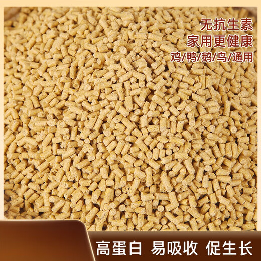 In OUOETY chicken feed, large chicken high-nutrition fattening pellets are fed to starlings, pigeons, poultry breeding, chickens, ducks and geese special feed 40Jin Jin is equal to 0.5kg, small chicken feed pellets nutritional upgrade