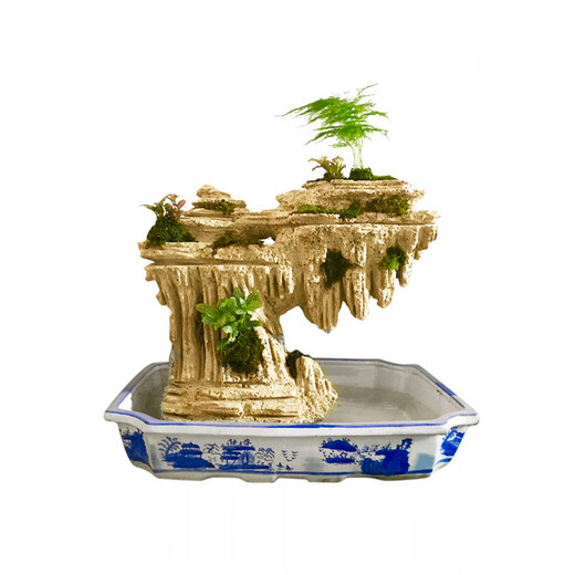 Absorbent stone rockery bonsai upper water stone original stone rockery stone bonsai natural original stone landscaping small ornaments ornamental stone 20-24cm absorbent stone does not contain pots and comes with grass seeds and stones