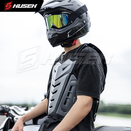Zailu Motorcycle Off-road Armor, Chest Protector, Vest, Anti-fall Protective Gear, Mountain Bike Cycling Suit, Motorcycle Full Set, Black Armor, Anti-fall/Chest Protector/Back Protector, One Size