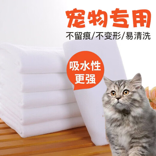Quick-drying small square towel for pet bathing, quick-drying and absorbent square towel, cat and dog wash and care towel, small cleaning towel, overlock white towel 30*30cm (2 pieces)