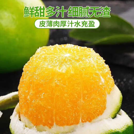 果跃霖云南冰糖橙正宗哀牢山手剥甜果冻橙子无渣新鲜水果送礼 2斤尝鲜果 单果65-75mm 净重1.7斤