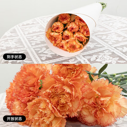 Carnation flowers holiday gift water-grown flowers for mom Yunnan flower base straight hair 10 random color carnations