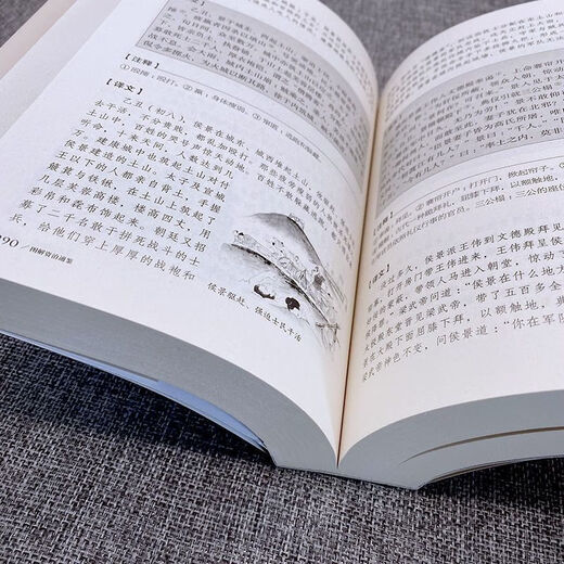 Zizhi Tongjian Vernacular Edition Ensemble complet de traductions originales avec annotations Livres d'histoire générale chinois et classiques historiques [Vendre une version authentique] [692 pages] Illustration Zizhi Tongjian - Version épaissie