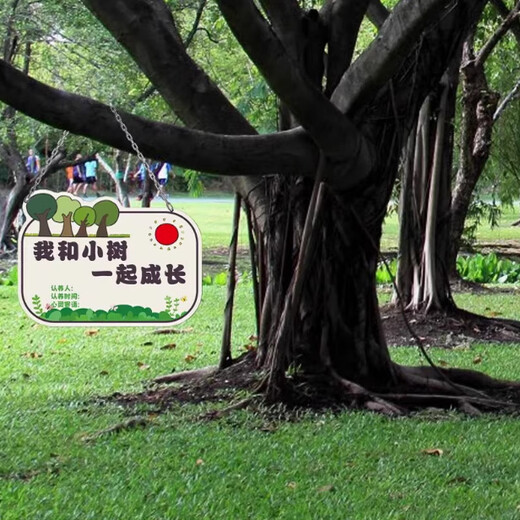 Arbor Day Listing Tree Planting Sign Tree Adoption Sign Kindergarten Sapling Adoption Sign Tree Signage DIY Customization 09 Tree Sign PVC Board with hanging chain 16x10cm