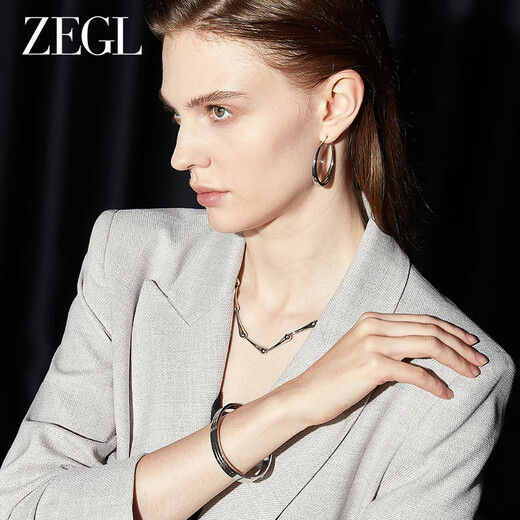 ZEGL Silver Elegant Large Earrings Women's 925 Silver Needle Earrings Earrings Earrings Temperament and High-end Feeling Women's Birthday Gifts for Best Friend