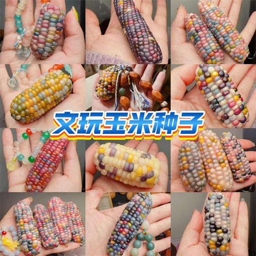 Семена кукурузы с разноцветными стеклянными драгоценными камнями, красочные культурные игрушки, съедобные семена восковой кукурузы, семена для посадки детей, разноцветные семена кукурузы с драгоценными камнями, 20 разных цветов.