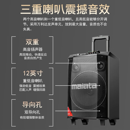 Malida 9017S Thor series audio outdoor K-song square dance audio home singing high-power subwoofer portable stage dance store stall trolley Bluetooth speaker 12 inches 9017S dual microphone / flagship version
