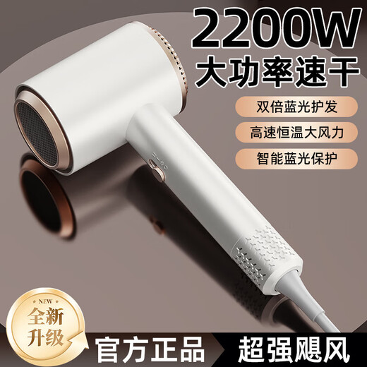 New high-speed silent negative ion hair dryer personal protective appliance strong wind hair dryer for hair salon, hotel and dormitory 311 high-speed motor gray 2200W