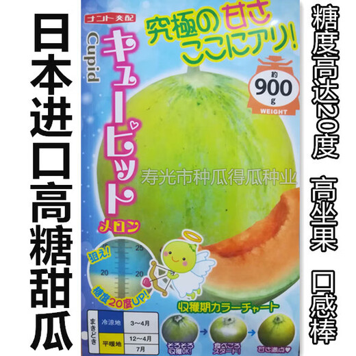 Japan imported reticulated melon seeds, sweet watermelon horn honey seeds, fruit spring vegetable seeds, emerald reticulated melon seeds, 100 capsules