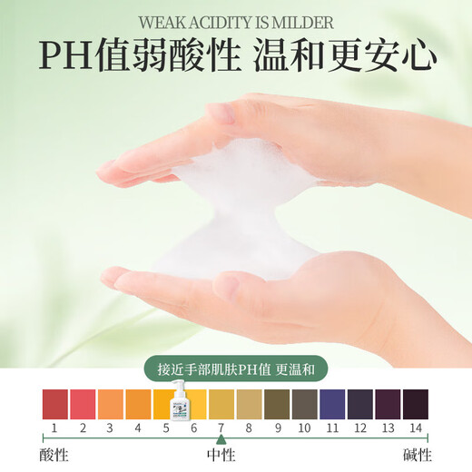 Vegetable Garden Tea Scented Bubble Hand Sanitizer Foam Hand Sanitizer Moisturizing, Moisturizing, Cleaning and Hand-Protective Hand Sanitizer Universal for Children and Adults Natural Tea Scented Bubble Hand Sanitizer 300ml*3