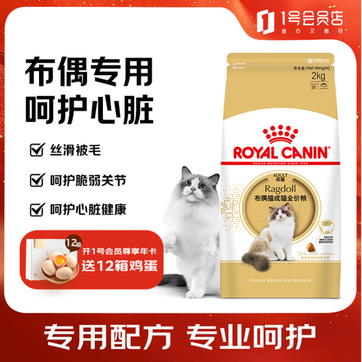 ROYAL CANIN Ragdoll Adult Cat Food RA32 General Food 12 months and above 2kg
