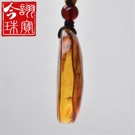 Jinxu Natural Amber Insect Amber Pendant Baltic Sea Beeswax Insect Pendant Insect Pendant 3.31g
