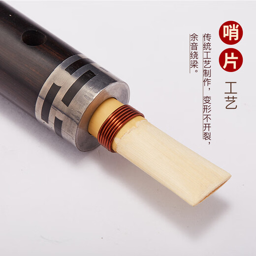 京韵乌木管子乐器演奏催泪管初学者吹奏乐器管子 G A E C 降B D调 D调铜箍【塑料哨1个】＋8
