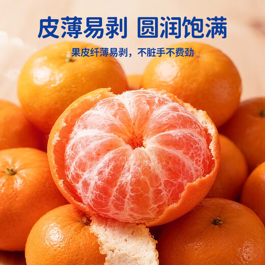 Xinyu mandarine fruits frais mandarine mandarine fraîche mandarine mandarine mandarine verger droit mandarine fraîche mandarine coffret cadeau 5 Jin Jin équivaut à 0,5 kg Pack de partage (poids net 4,5 Jin Jin équivaut à 0,5 kg) 80 % des personnes choisissent 40-50 mm 5A est très doux