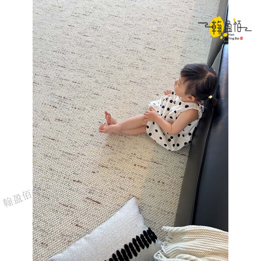 Australian imported wool carpet, living room, high-end light luxury, stain-resistant, sofa, coffee table, carpet, bedroom, antique style thickened mansion (simple, easy to build and easy to care for) 2.0m*3.0m