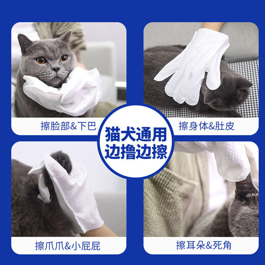 Pet cleaning gloves wet wipes for dry cleaning, lickable, deodorizing and caring for cats and dogs, extra thick pet disposable gloves (6 pieces), 2 bags