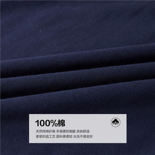 Giordano long-sleeved T-shirt men's autumn and winter pure cotton T-shirt plant-themed printed round neck top 13095791