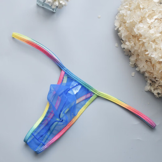 Taoluo Thong Men's Sexy Low Waist Transparent Pouch Men's Sexy High Elastic Underwear White S