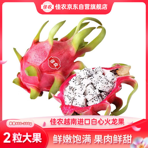 Goodnon Vietnam imported white heart dragon fruit 2 packs medium large fruit single fruit 400g-500g fresh fruit direct from the source