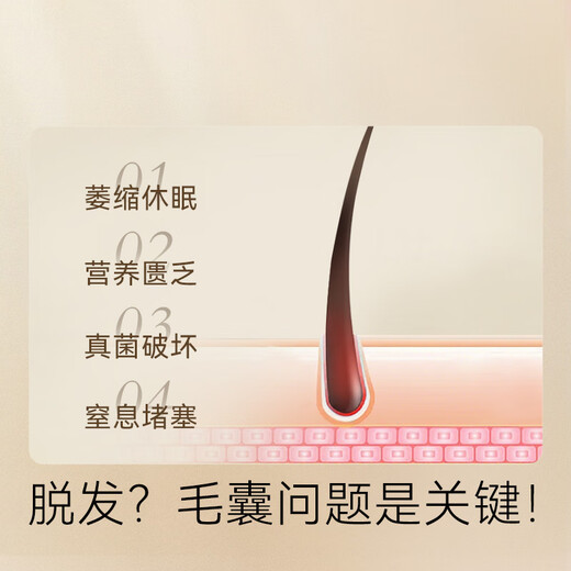 Jingdong Anti-hair Loss Shampoo, Ginger Platycladus Leaf, Hair Firming and Hair Restoration for Men and Women, Removes Oil and Itching, Fluffy Shampoo Cream Gold List