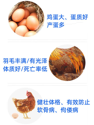 Wing Fantasy Super Concentrated Vitamin Powder Veterinary Multidimensional Chicken, Duck, Goose, Turtle, Pig, Cattle and Sheep Poultry Feed Premix Super Concentrated 500g*3 Bags