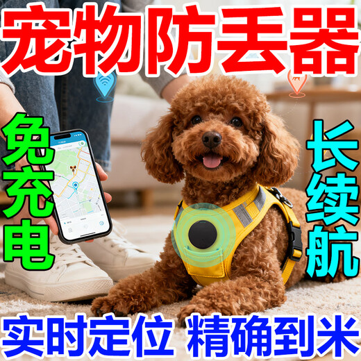 2025 new Beidou-level locator GPS tracker for pets, elderly and children, accurate positioning artifact for lost pets, orange, universal for pets