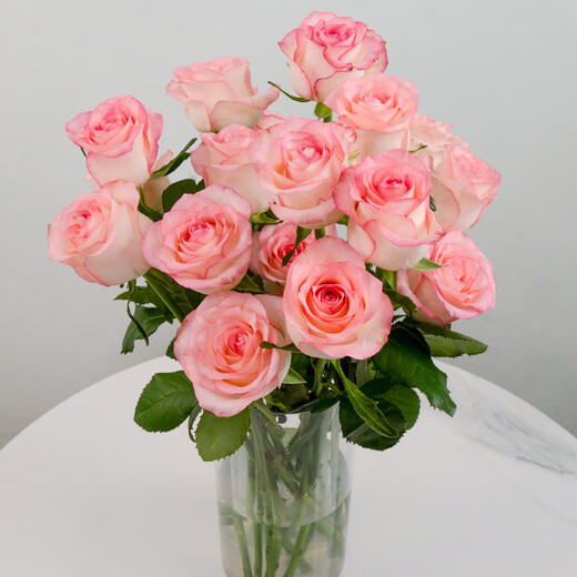 Jingdong Flowers Double 11 Yunnan Kunming base random color roses buy 20 and get 10 free with grass and flowers straight from the source