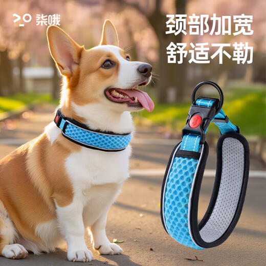 Dog collar neck set dog leash collar size medium dog walking rope leash pet dog collar blue collar XS neck circumference 28-30cm recommended 3-15Jin Jin equals 0.5 kg