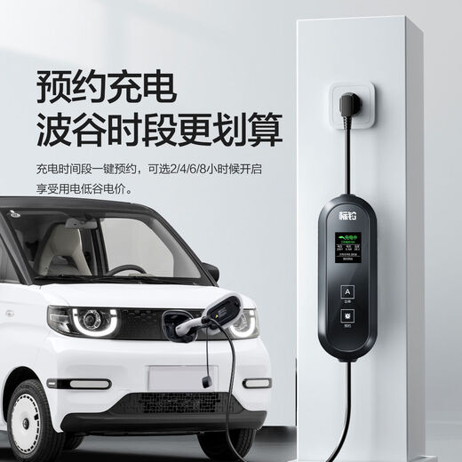 Litian Chery QQ Ice Cream Car Lading Gun Special Tragbares Auto Ladegerät Zubehör Neue Energie Heim 15816a Einstellbar