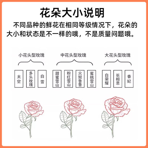 Jingdong Flowers Boutique Water-cultured Soilless Culture New Year's Eve Flowers Valentine's Day Limited Red Roses 20 Pack 45CM+ Straight from the Source