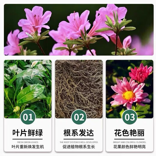 Long-lasting compound granular fertilizer universal slow-release fertilizer for flower and vegetable cultivation High-efficiency universal formula 0.5 Jin Jin equals 0.5 kg Upgraded large-element compound flower fertilizer Water-soluble