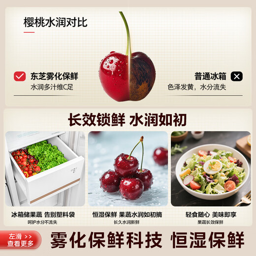 Toshiba (TOSHIBA) 573 double-door 60cm ultra-thin high-capacity zero-embedded semi-automatic ice-making first-class energy efficiency energy-saving frost-free three-generation household fresh-keeping state-subsidized refrigerator GR-RS573WI-PG1 Yuzhisha