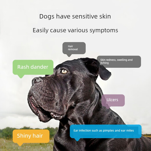 Daofangpin Diamondcare Prescription Dog Food Sensitive Skin Adult Dogs Easy to Digest 50g Bag*2 Bags General Care Sensitive Skin Dog Food Trial 50g*2 Bags 0g (can be eaten for a long time)