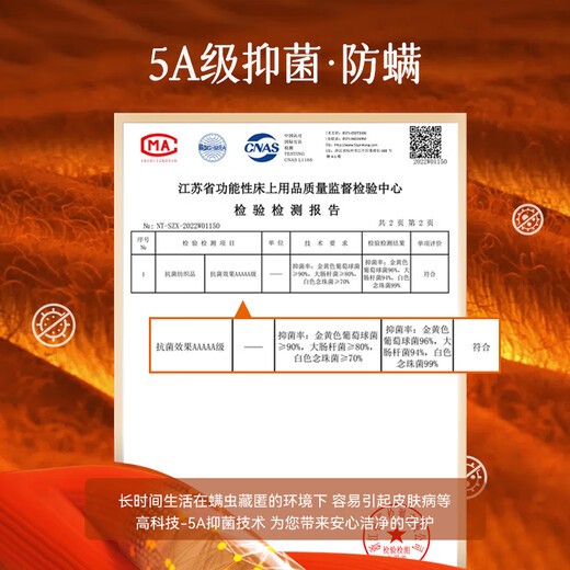 Red Bean Thermal Underwear Women's Set New Seamless Thickened Velvet Defa Hot Autumn Clothes Autumn Winter Shirts and Underpants 2 Tops Princess Color - Sexy Black + Nude Skin M