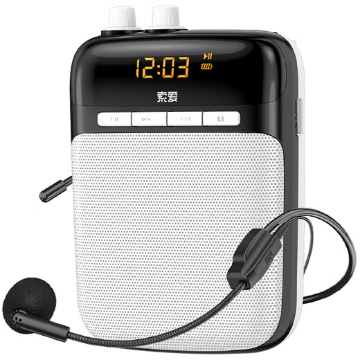 Sony Ericsson (soaiy) S318 Little Bee Amplifier Teacher's Special Bluetooth Speaker Audio Small Speaker TF Card U Disk Recording Microphone Outdoor Tour Guide Portable Teaching Type-c Black