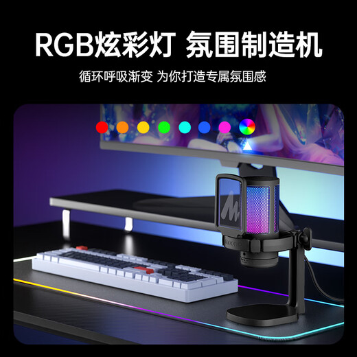 Maono computer microphone game live recording box microphone noise reduction usb mobile phone desktop notebook radio microphone karaoke microphone DM20 wired condenser microphone DM20 white (disc type)