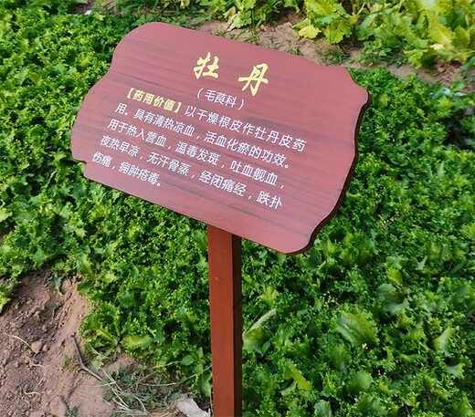 Customized outdoor antiseptic wood, Chinese herbal medicine, flowers and plants, introduction, science brand label, ground brand, tree name brand, size 30*50cm, pole height 1 meter/thickened