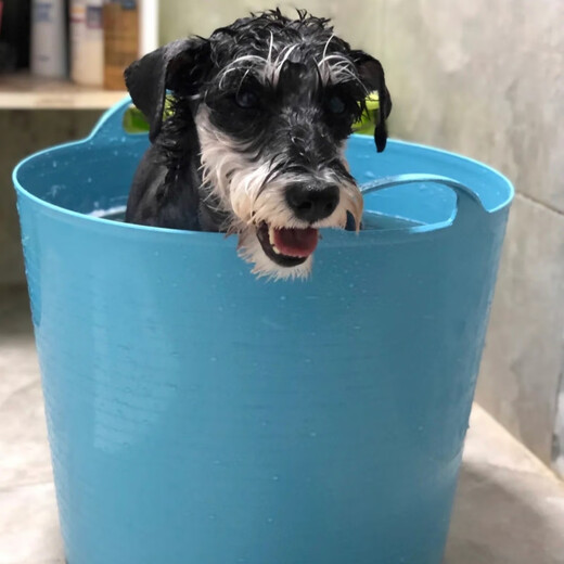 Dog bath barrel, dog bath tub, medicated bath bath tub, pet bath barrel, dog bath tub supplies, Teddy French Bulldog, small dog, ordinary small yellow, no drain outlet 7Jin Jin is equal to 0.5kg within