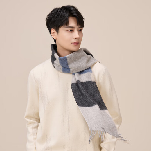 Heilan House (HLA) scarf men's autumn and winter warm outdoor sheep wool gift box scarf HXAWJA2AEXR295 HH Aoki Gray 164cm 30cm