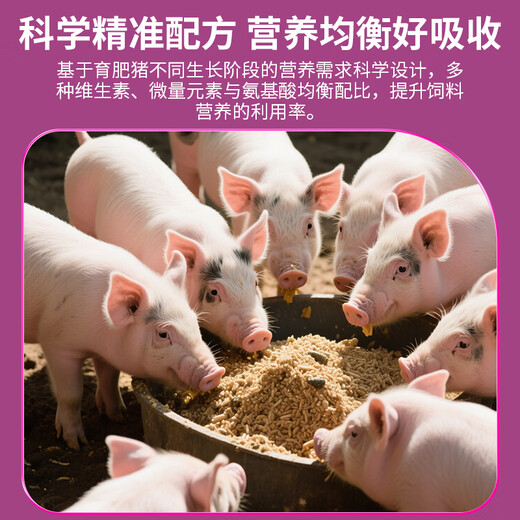 Nongdali Nongdali 4% growing and fattening pig premix for piglets, medium and large pigs, universal precise nutrition and strong skeleton 20kg 4% premix N454