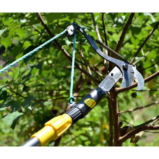 Bun Peng high-branch pruning branch scissors telescopic belt rope fruit picker high-altitude head high-altitude pruning thickened high-altitude shears No. 46