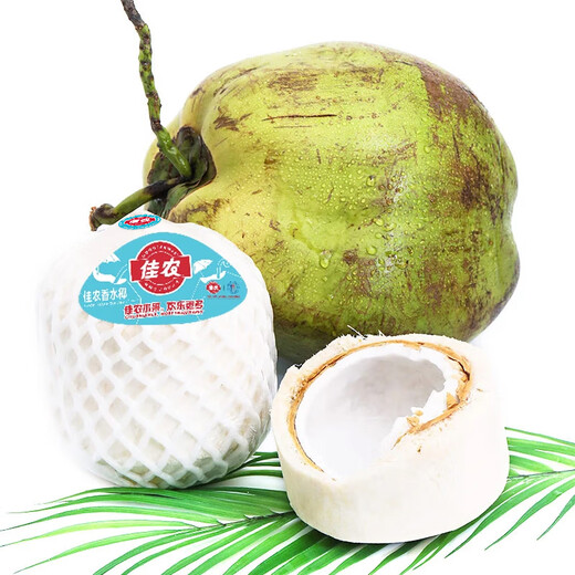 Good Farmer Green Coconut Imported from Thailand 4 pieces large single fruit 900g + free coconut opener fresh fruit gift box